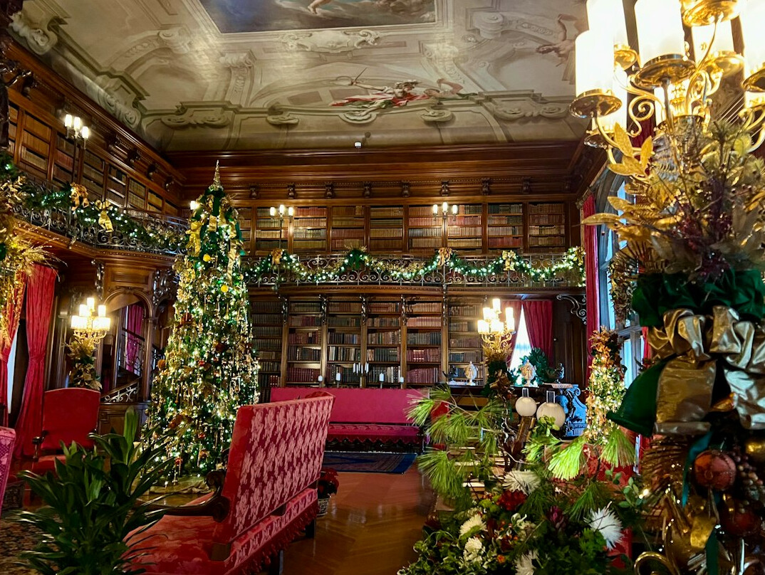 Grand library with tall bookshelves